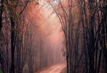 众志成城，努力拼搏，队伍赢得难能可贵的比赛