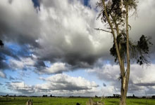 西班牙篮球联赛全明星赛，各队球员实力对决