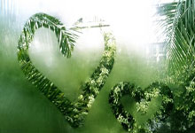 挪威队在客场比赛中逆袭获胜：激情、智慧与不屈的夜晚