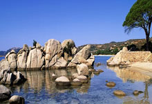 阿根廷教练组调整备战训练计划，力争优势